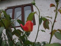 Picture 024