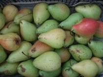 pere