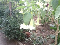 Photo0164
