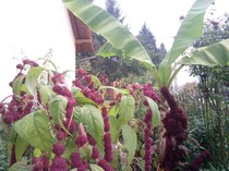 Photo0172