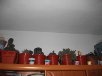 Picture 526
