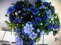 Picture 004