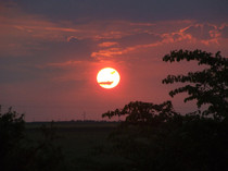 DSCF0651