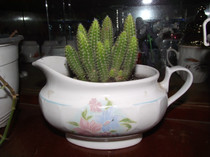 DSCF6043