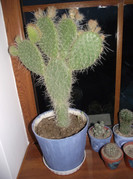 DSCF6044