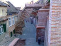 DSCF7047