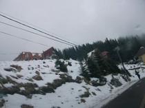 poze 739