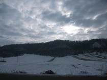 poze 033