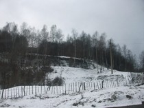 poze 010