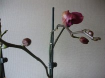 20.01.2012