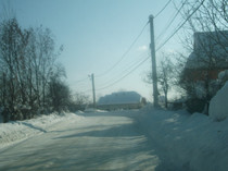 poze 1130
