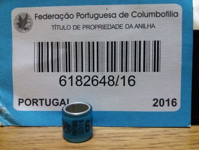 PORTUGAL 2016  F C I