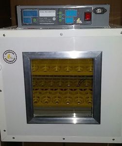 incubator automat; 288 oua prepelita
