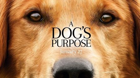 07feb2017 ”A Dog´s Purpose (2017)” ★★★★☆; made me cry ++ lets forget about PETA....
