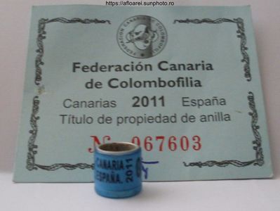 canaria espana 2011