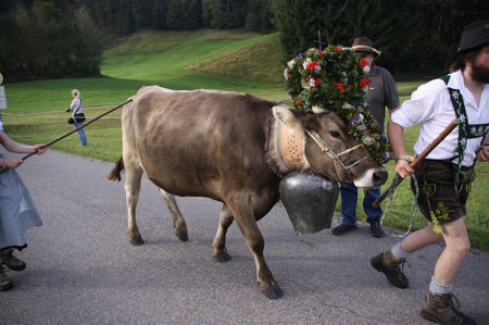 Alpinele brune