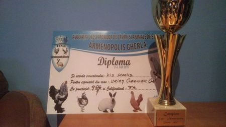 Campion Urias Gri Expo Armenopolis Gherla 2017