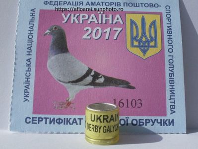 UKRAINE DERBY GALYCINA 2017