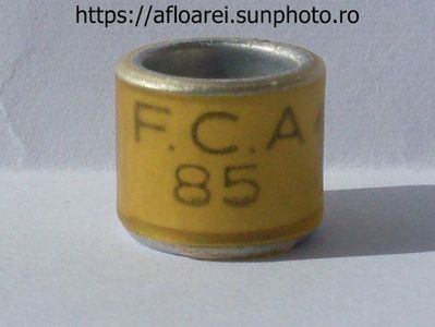FCA 85