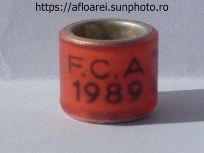 FCA 1989