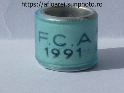 FCA 1991