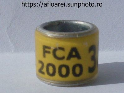 FCA 2000