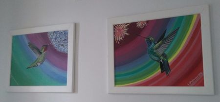 Set colibri