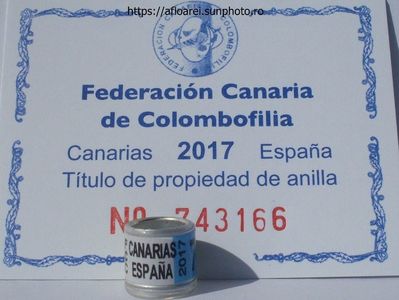 FCC CANARIAS ESPANA 2017