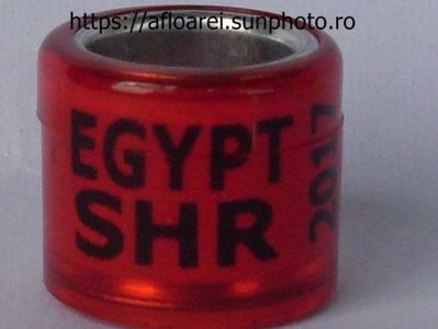 EGYPT SHR 2017