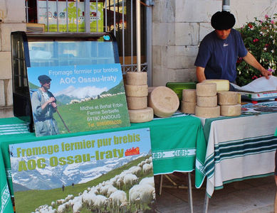 Cascavalul de oaie la vanzare