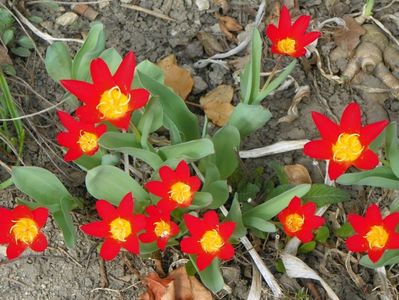 31 mart (5)
