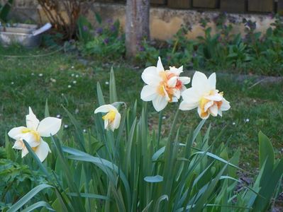 3 apr (18)