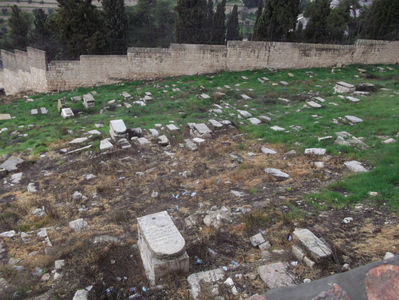 cimitir evreiesc cu pietre foarte vechi