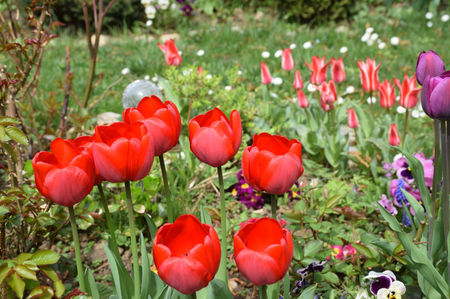 Red Paradise