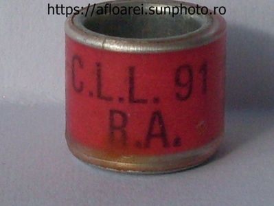 CLL 91 RA