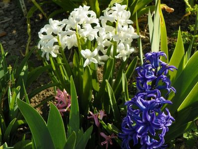 7 apr (23)
