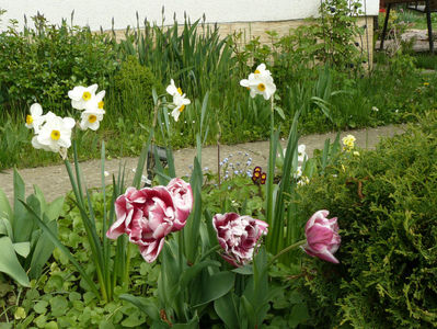 Gerbrand Kieft