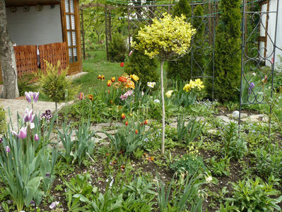 Perenial garden si-a cam pierdut stralucirea...