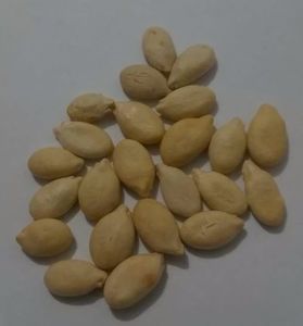 Benincasa Dovleac de ceara (comestibil) seminte; Benincasa dovleac 1 RON saminta
