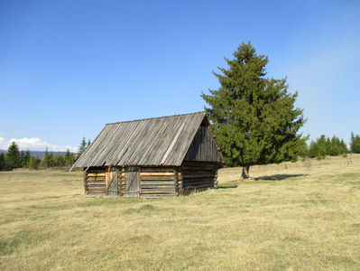 Coliba de la marginea padurii