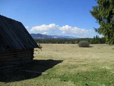 Coliba de vara