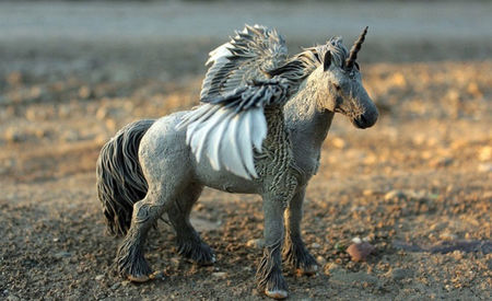 mini-Pegasus