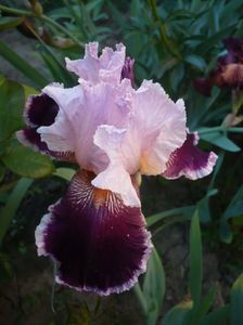 P1320338