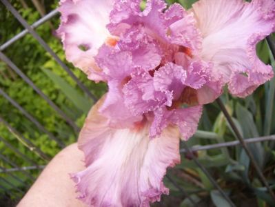 P1330344