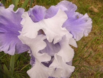 P1330482