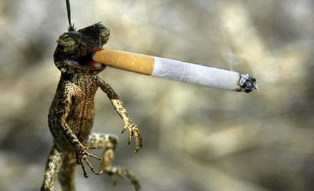 băiete, fumatul dăunează grav sănătății...