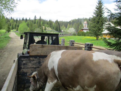 in tractor ne cam scutura