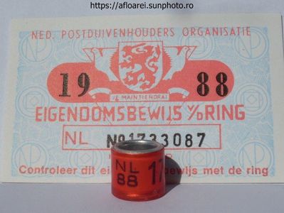 NL 88