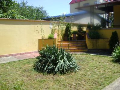 Yucca filamentosa, tije florale