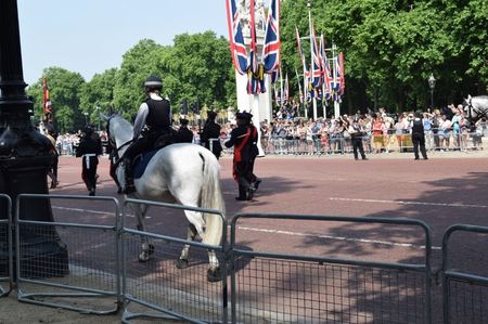 Parada din zona palatului Buckingham